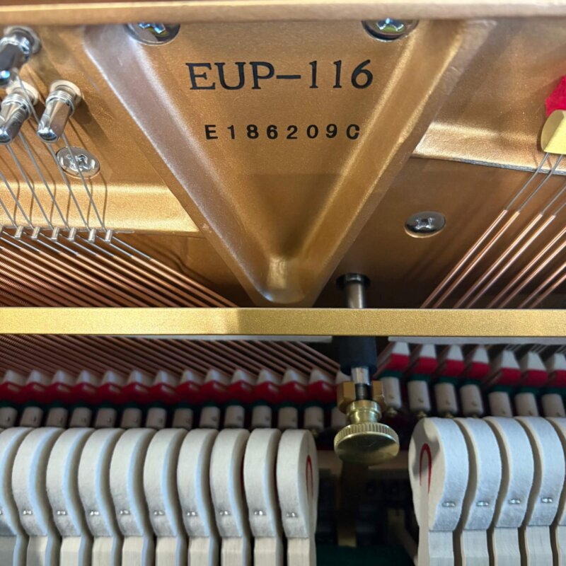 SNEUP116